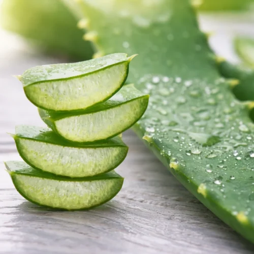 Aloe vera hair mask for frizz control and hydration for soft and glossy hair.
